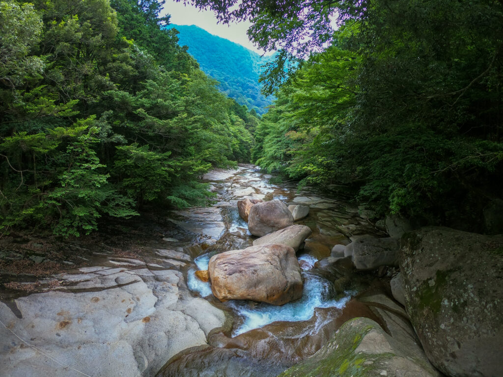 四万十川源流域の水質調査から探る森の健康度相関研究