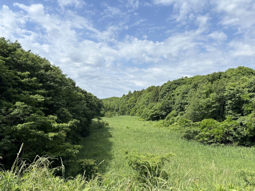 印旛沼流域の産官学民共創とグリーンインフラの実践